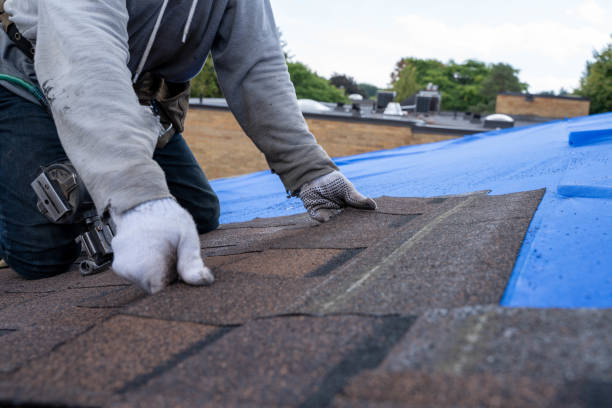 Best Roof Gutter Cleaning  in Mpbell, CA