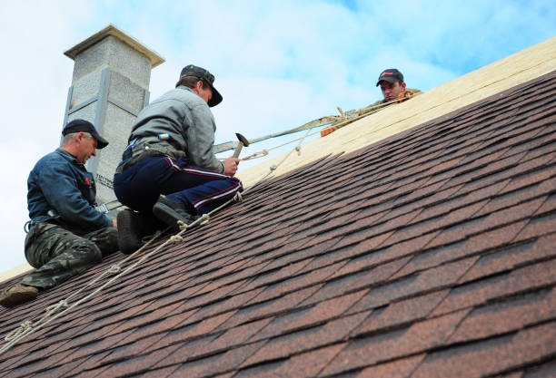 Professional Roofing Contractor in Campbell, CA